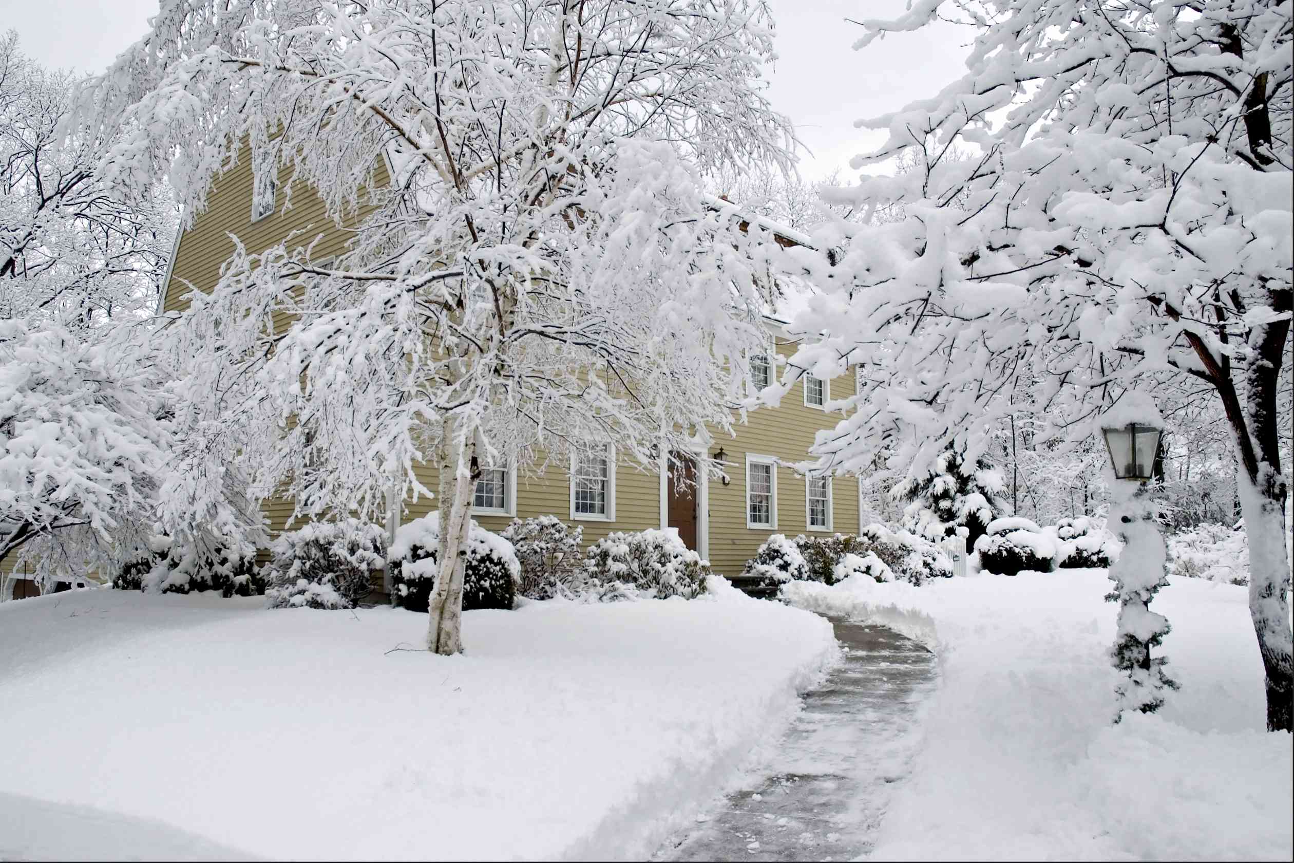 Why You Should Never Use Deicing Salt Near Your Lawn This Winter
