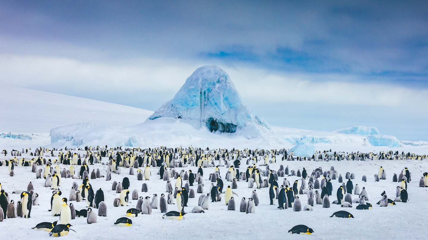 5 Misconceptions About Antarctica, Debunked