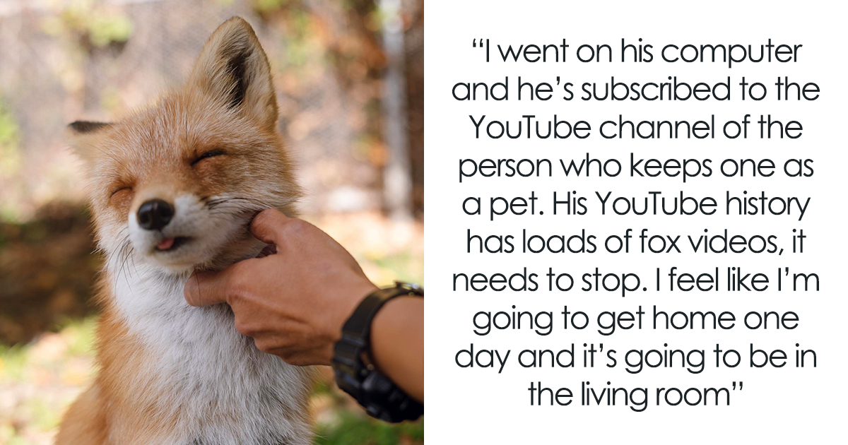 Man Wants To Domesticate A Wild Fox, Shocked Wife Doesn't Want It In Their House