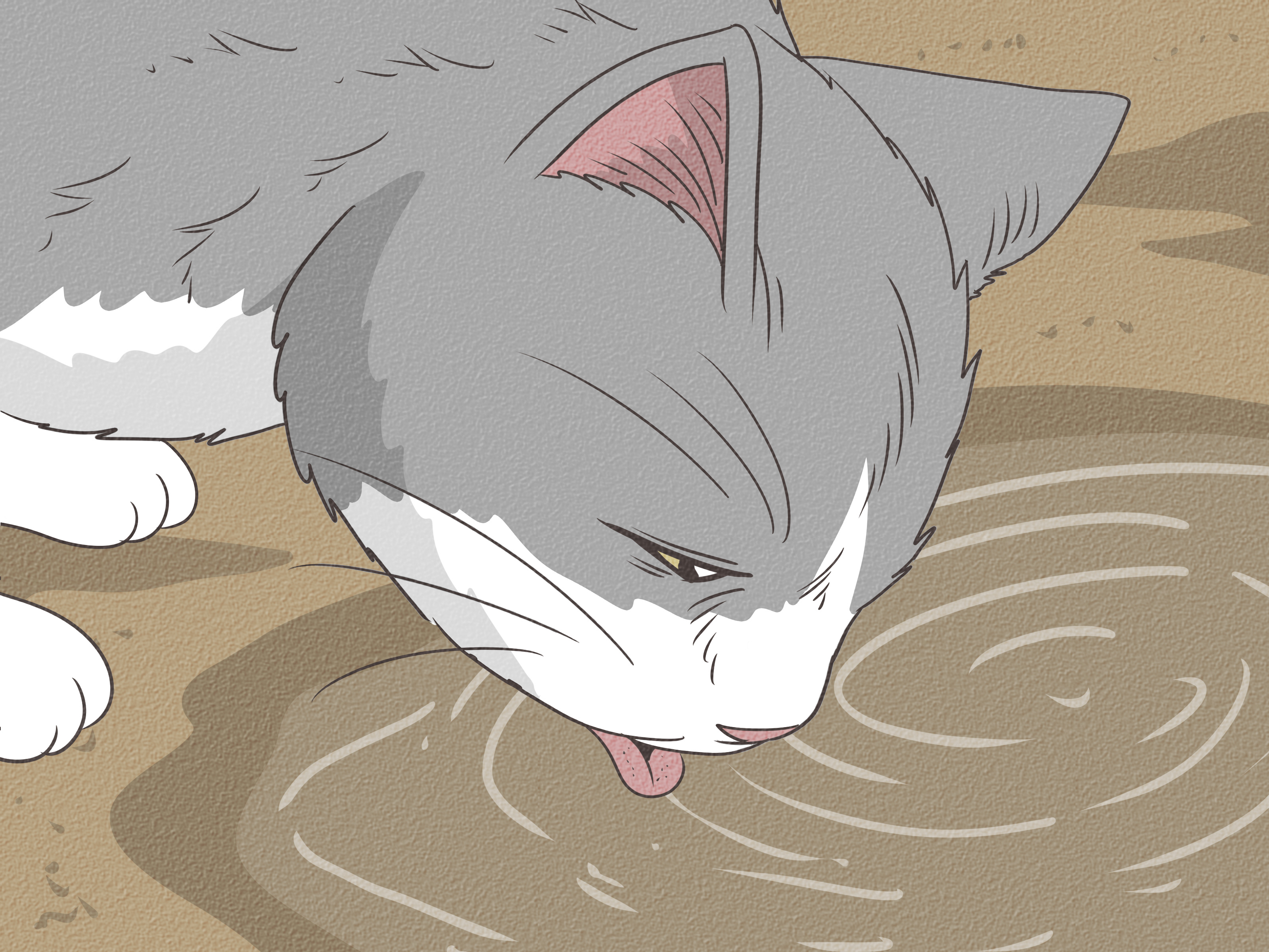 How to Diagnose and Treat Giardia in Cats: 10 Steps
