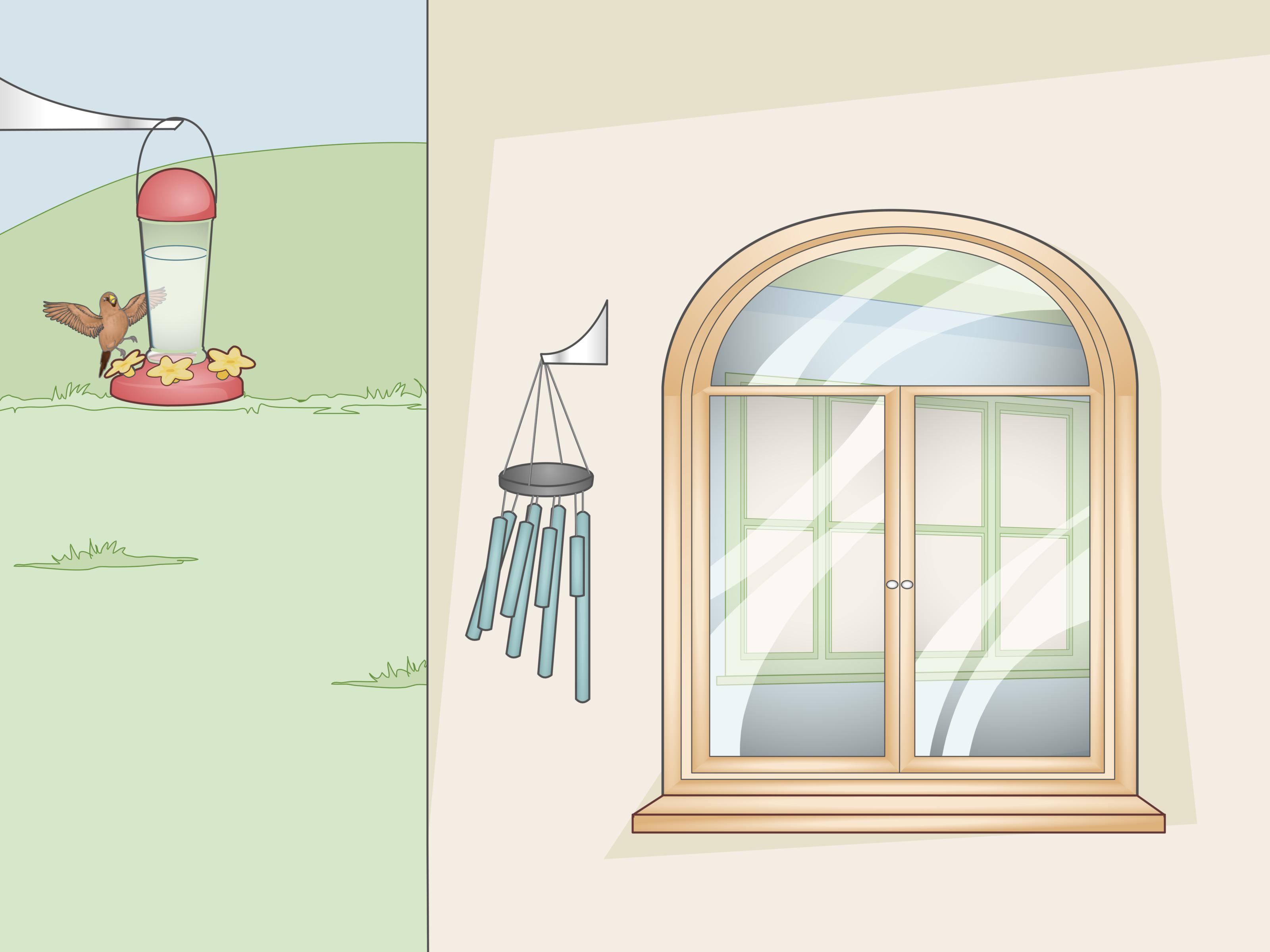 How to Stop Birds from Attacking Windows: 13 Simple Hacks