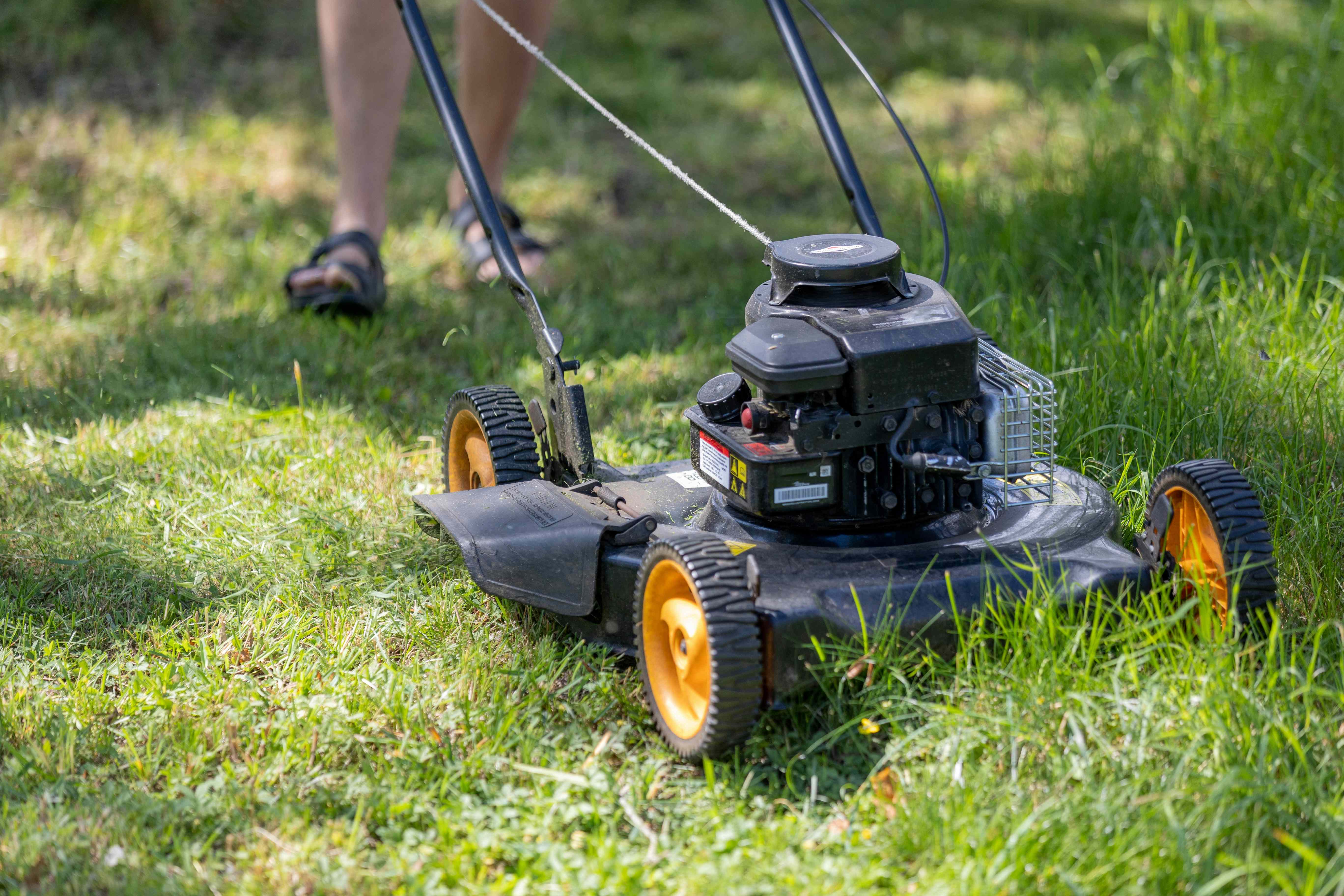 Why Cutting Back on Mowing in August Might Actually Help Your Lawn