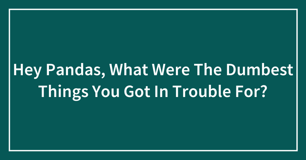 Hey Pandas, What Were The Dumbest Things You Got In Trouble For?