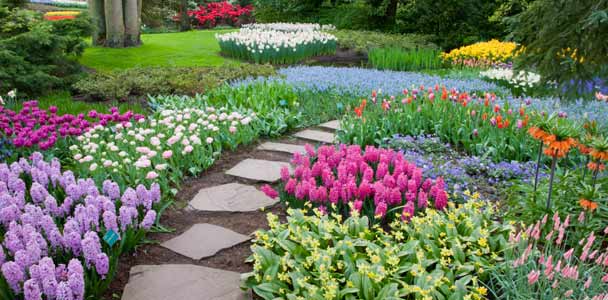 Essential Nutrients to Use for Your Lawn and Garden – This Old House