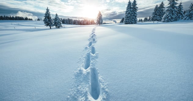 10 People Who Vanished Only To Mysteriously Reappear