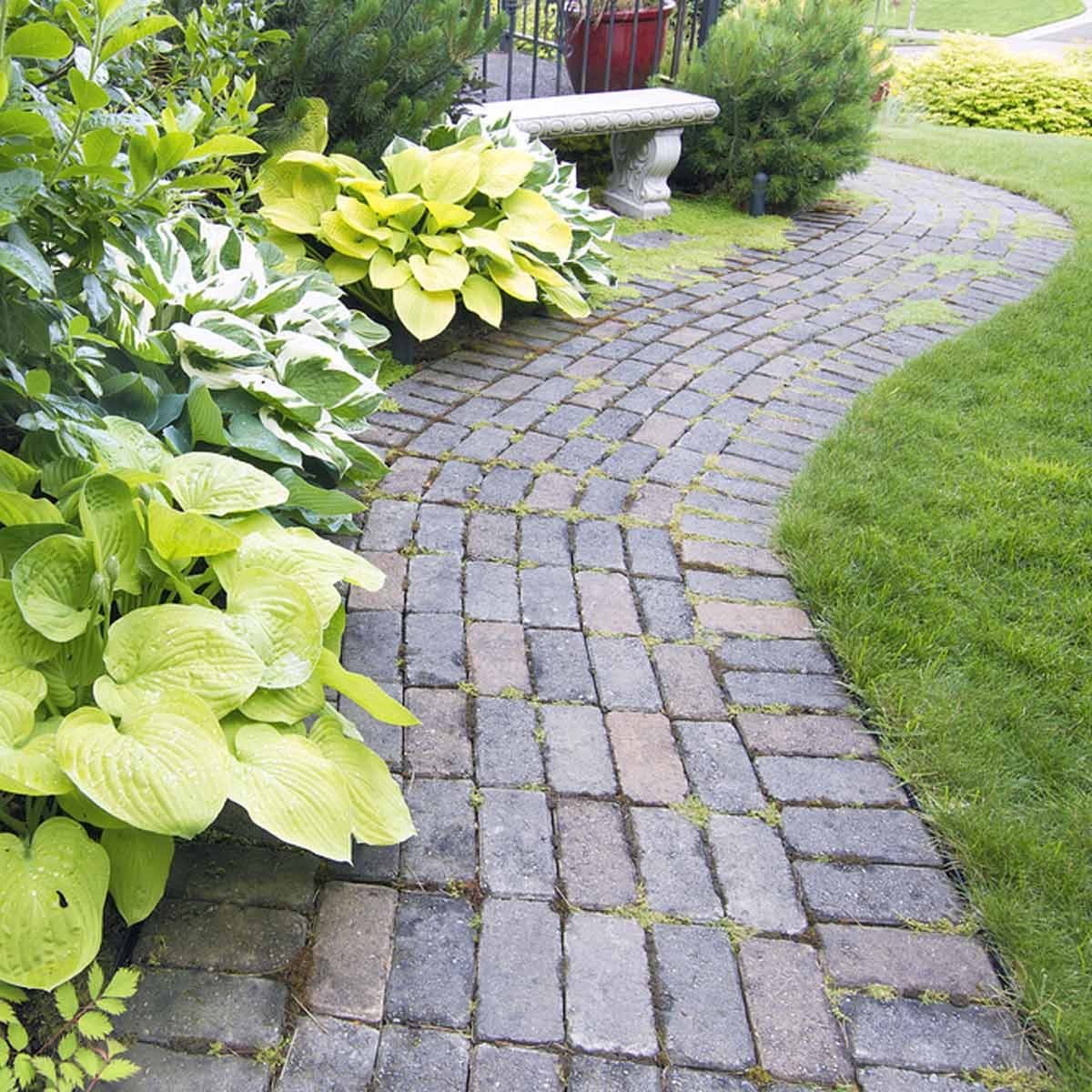 Hostas Landscaping: How to Grow a Hostas Garden